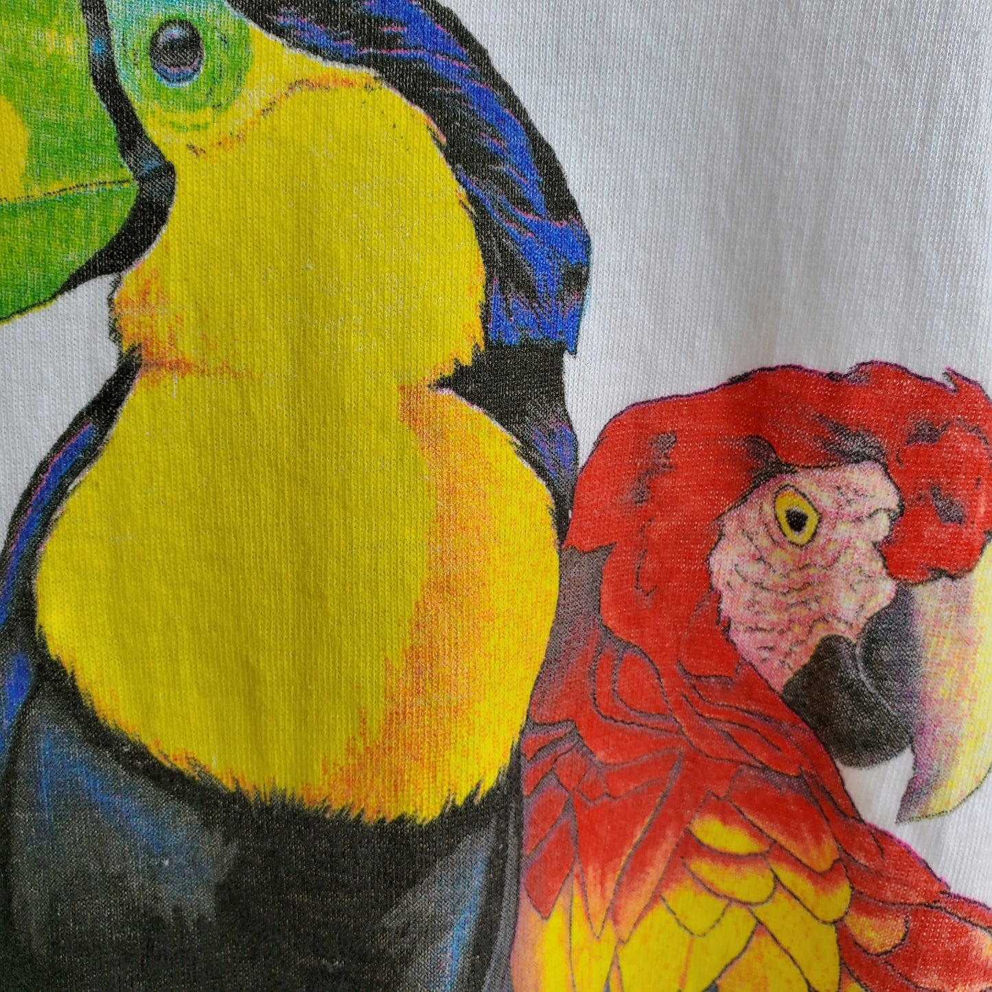 Three parrots Tee