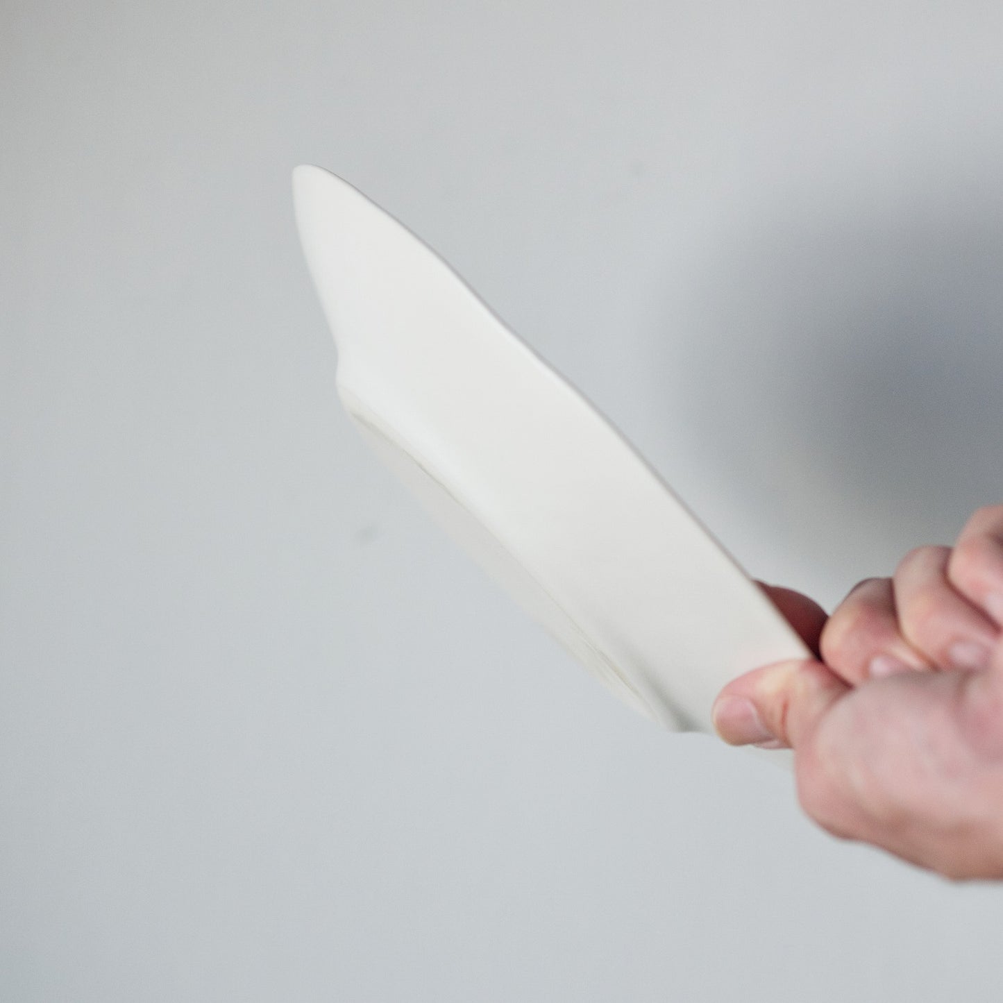 White porcelain matte rim wide 8 inch plate