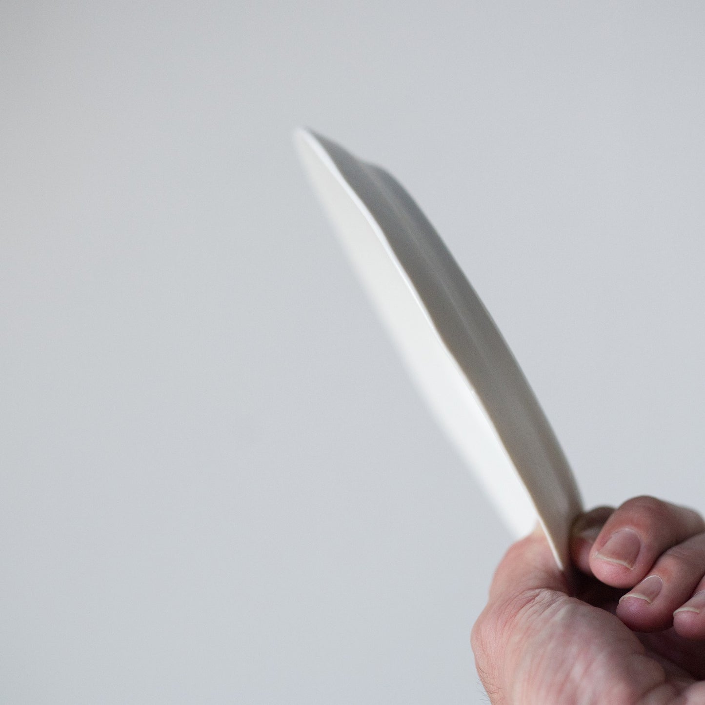 White porcelain matte rim 5.5 sun dish