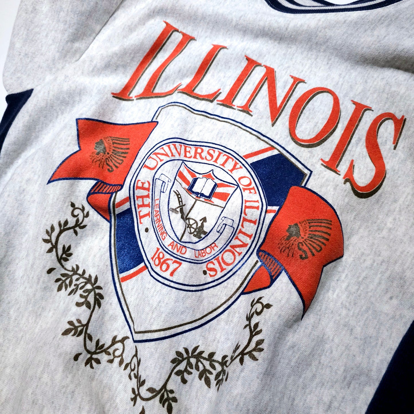 Illinois college sweat shirts