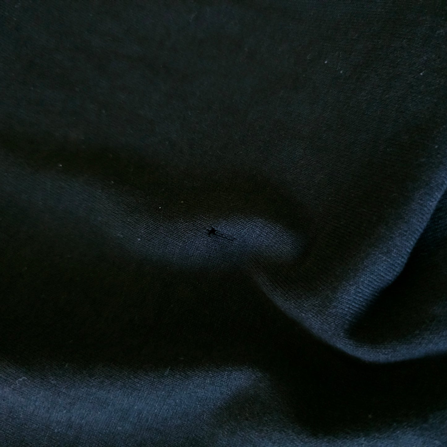 Nurie horse S/S T