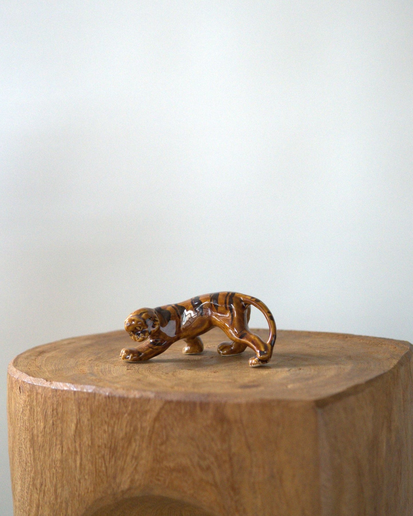 A fierce-looking tiger