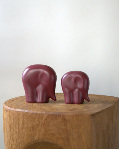Parent and child elephant