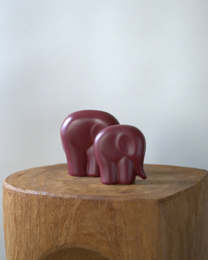 Parent and child elephant