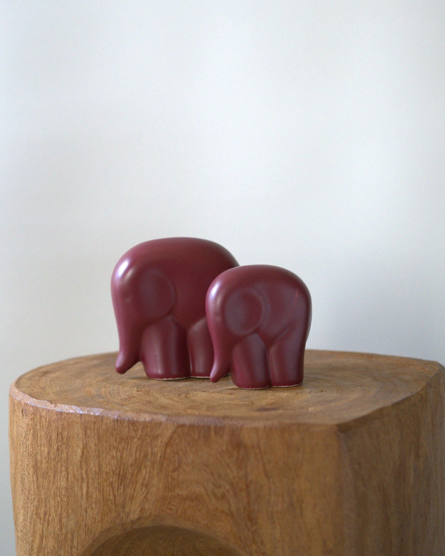 Parent and child elephant
