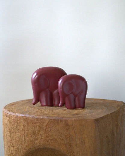Parent and child elephant