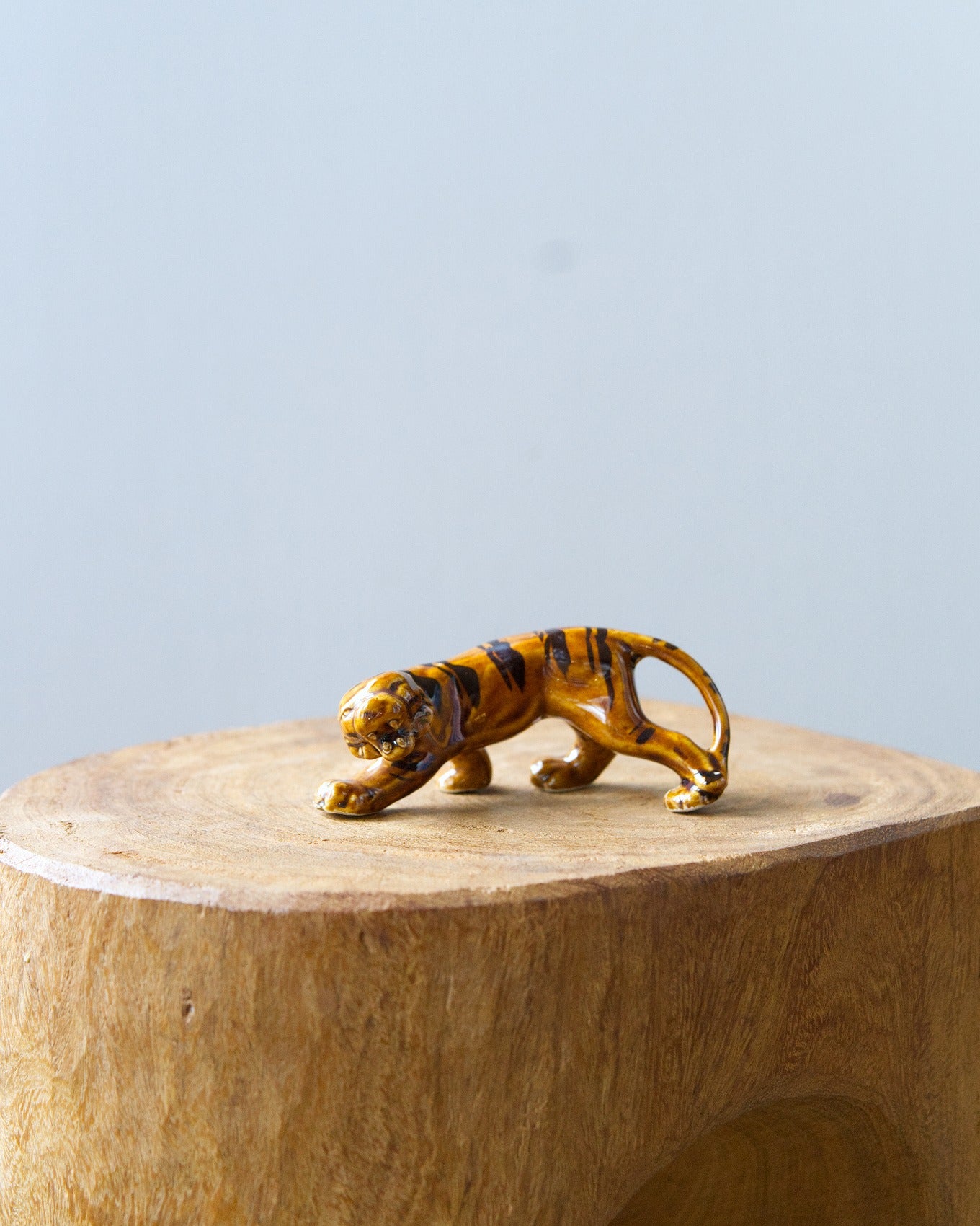 A fierce-looking tiger