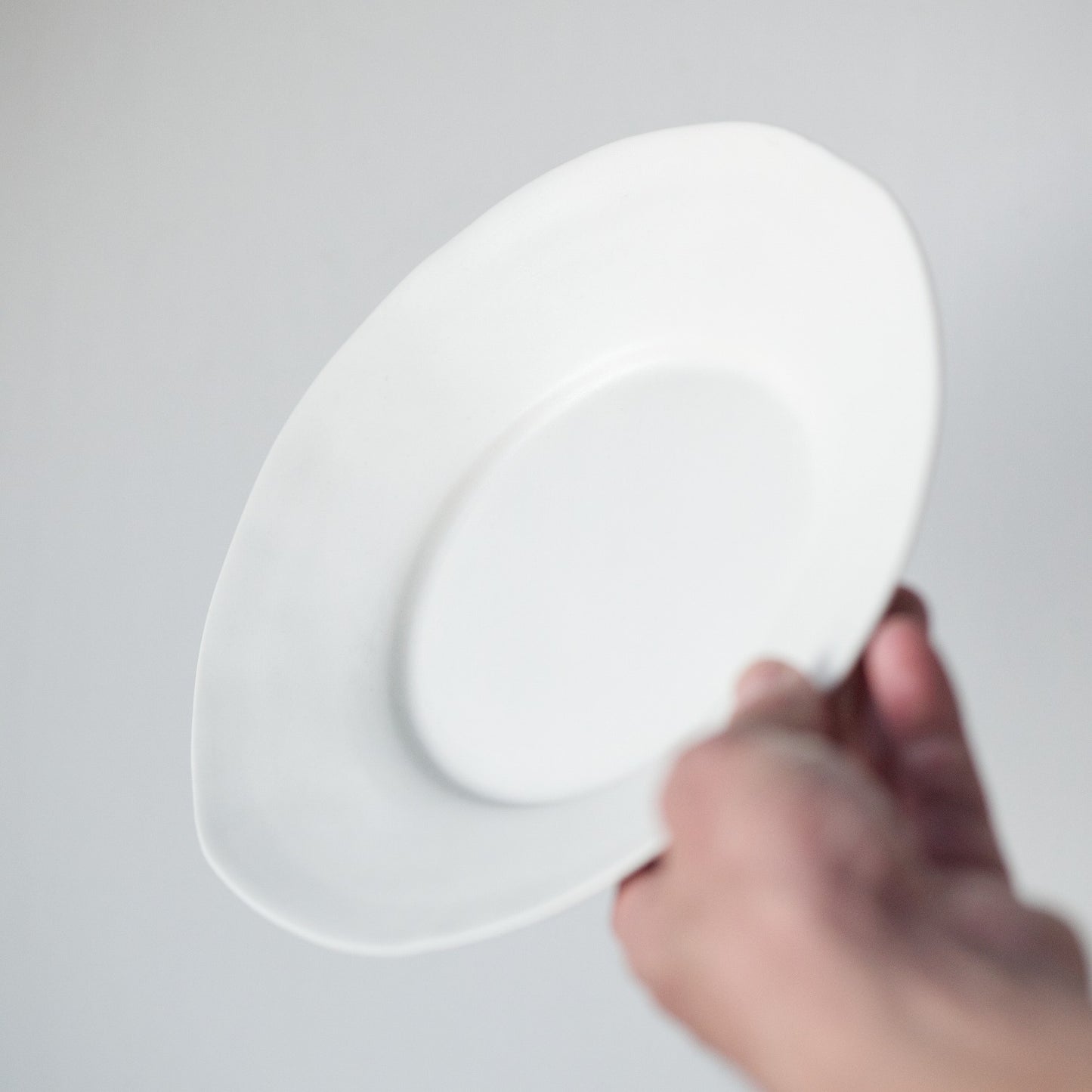 White porcelain matte rim wide 8 inch plate