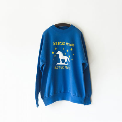 Star × Horse sweat shirts